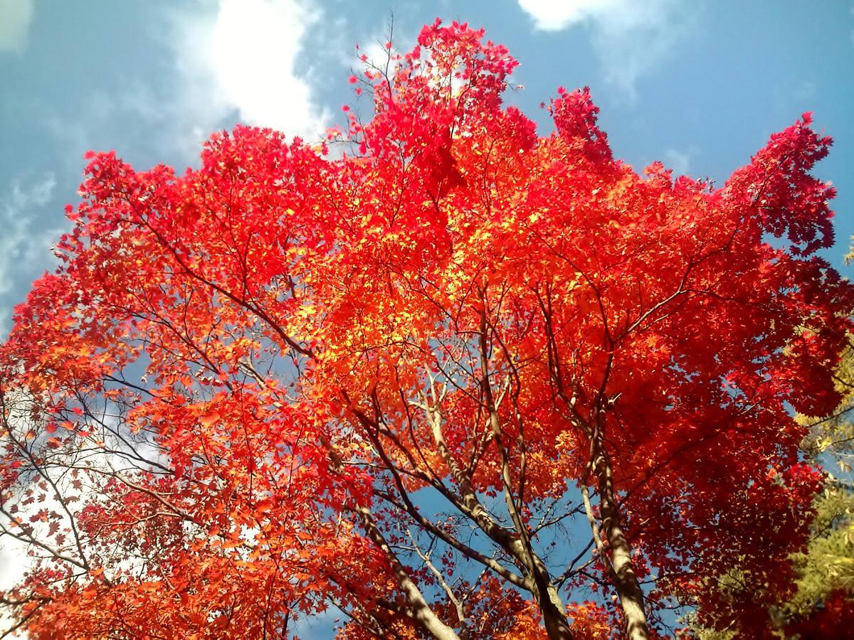 Yorokobinoyado Takamatsu Otel Gunma Dış mekan fotoğraf